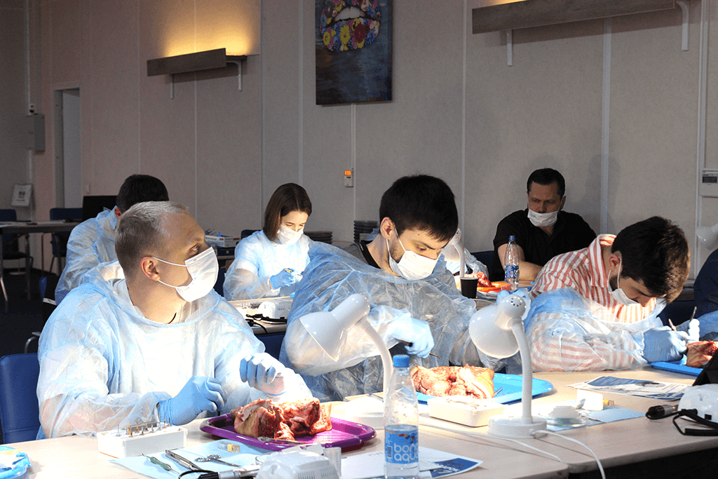 Фотоотчёт с курса Работа с имплантатами концепции Tissue Level. Безграничные возможности на каждый день. Фото № 1